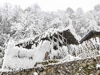 麻山初春冰凌