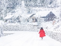  冰雪世界 