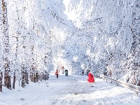  冰雪世界 