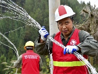 建南龙塘沟农网改造