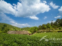 大横坡上看风景