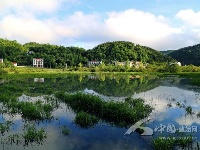 小西湖风光