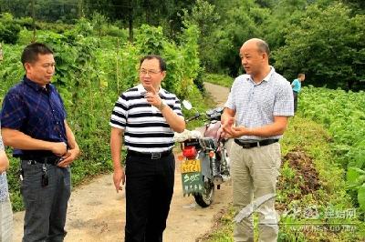 李世祥深入烟叶生产一线指导抗灾自救