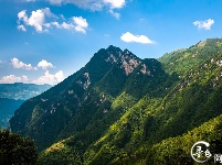 阿芳：最美是咱家乡