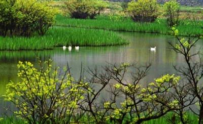 【记者走花坪】小西湖山水乐农家