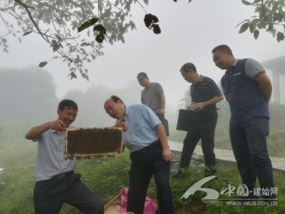 【茅田扶贫人】脱贫助力张大顶，满怀豪情致富来 