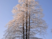 雪中长岭岗