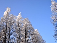 雪中长岭岗