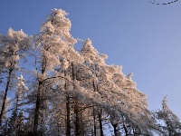 雪中长岭岗