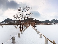 小西湖雪色