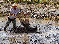 诗画田园 醉美乡村