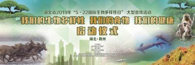 湖北省2019年国际生物多样性日宣传活动