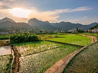 诗画田园 醉美乡村