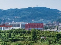 十年弹指一挥间 教育新城谱华章