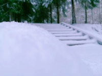 雪后初晴, 玉树琼枝, 掩映如画，长岭岗欢迎您!