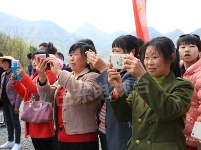 图集│春染牛洞 花漾乡情