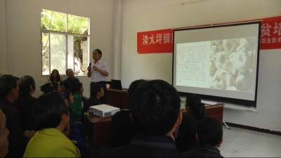  清太坪镇黄土溪村培训药材管理技术