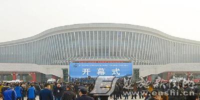 恩施州举办茶会欢迎参加国际茶业大会暨硒博会的中外宾朋