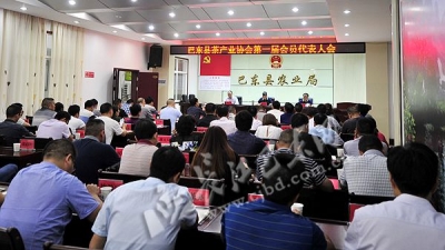 巴东茶产业协会成立　单艳平到场祝贺并授牌（图）