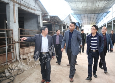 北京市农业局调研巴东农业（畜牧）信息化建设（图）