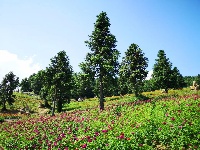 【纵情野马 为爱奔跑】赛道沿线美景