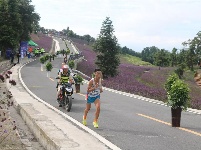 【纵情野马 为爱奔跑】赛场精彩回顾