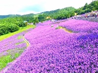 【纵情野马 为爱奔跑】赛道沿线美景