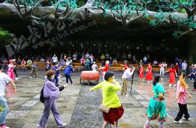 宜巴两地推出“船游三峡•夜宿巴东” 游轮专线旅游新产品