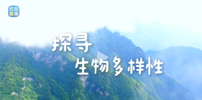 恩施巴东：探寻生物多样性，就在你我身边！