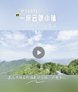 22℃的治愈密码！湖北巴东绿葱坡等你开启诗意夏日！