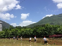 世硒农科富硒贡米种植基地首届插秧节在沙道沟举行