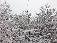 椿木营雪景美如画