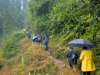 李家河镇：生态旅游引客来