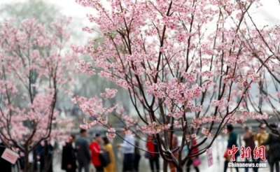 今起全国自北向南气温回升 明日多地将重现暖春