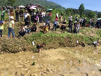 木龙寨第一届插秧节取得圆满成功