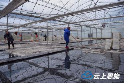 宣恩：水上育苗“闹”春耕