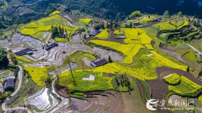 正在直播 |“酉水蓝·贡米香”第二届农旅结合体验周活动