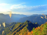 探秘七姊妹山国家级自然保护区