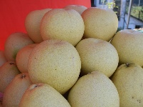 “柚”是一年成熟季