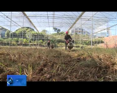 武陵山区农业花卉产业园项目建设有序推进中