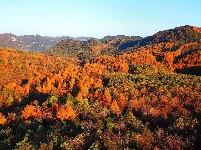 探秘七姊妹山国家级自然保护区