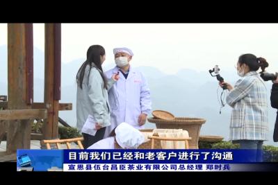 我县多举措拓宽春茶销售渠道