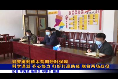 刘智勇到椿木营调研时强调 
科学谋划 齐心协力 打好打赢防疫、脱贫两场战役
