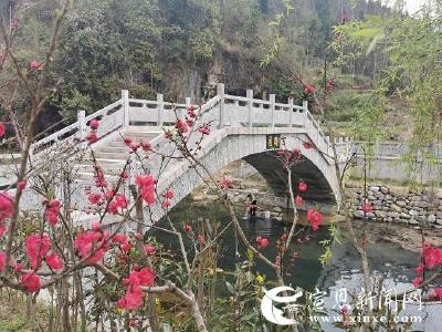 ​苗街添新景