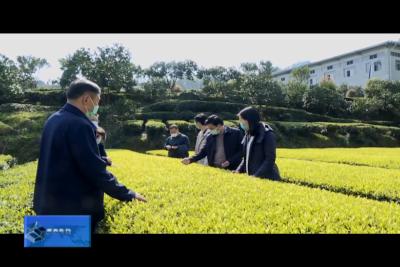 习覃到晓关调研督导疫情防控及企业复工复产准备工作强调
慎终如始抓好疫情防控 不误农时抓好春耕生产
 安全有序抓好企业复工