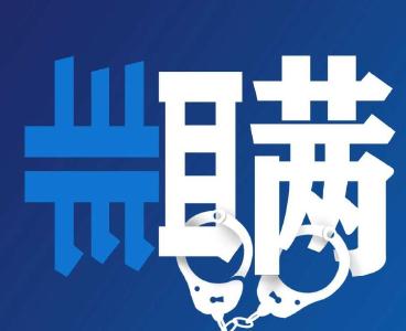 入境瞒报可定罪，这种硬核举措应该更多些