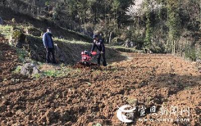  “微耕机”助农抢“工期”  