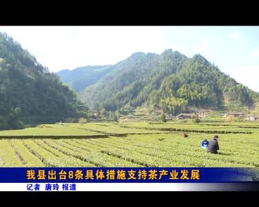 我县出台8条具体措施支持茶产业发展