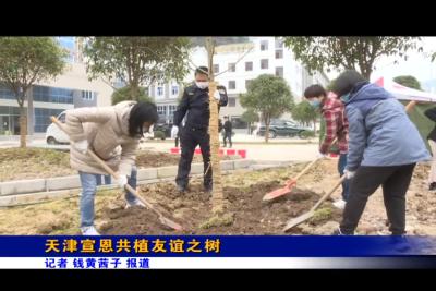 天津宣恩共植友谊之树