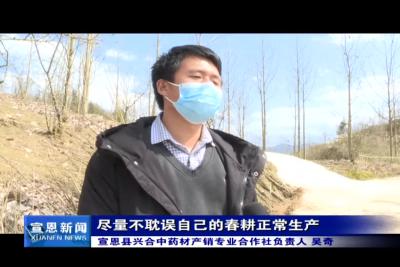   人勤春来早 药材种植忙